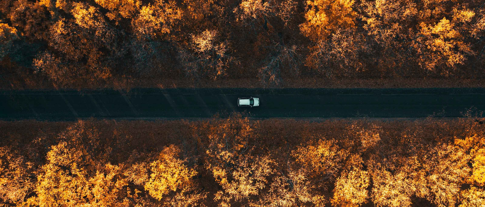 Hypermiling | Get More Miles From Your Next Road Trip | Camp Notes | WildBounds UK