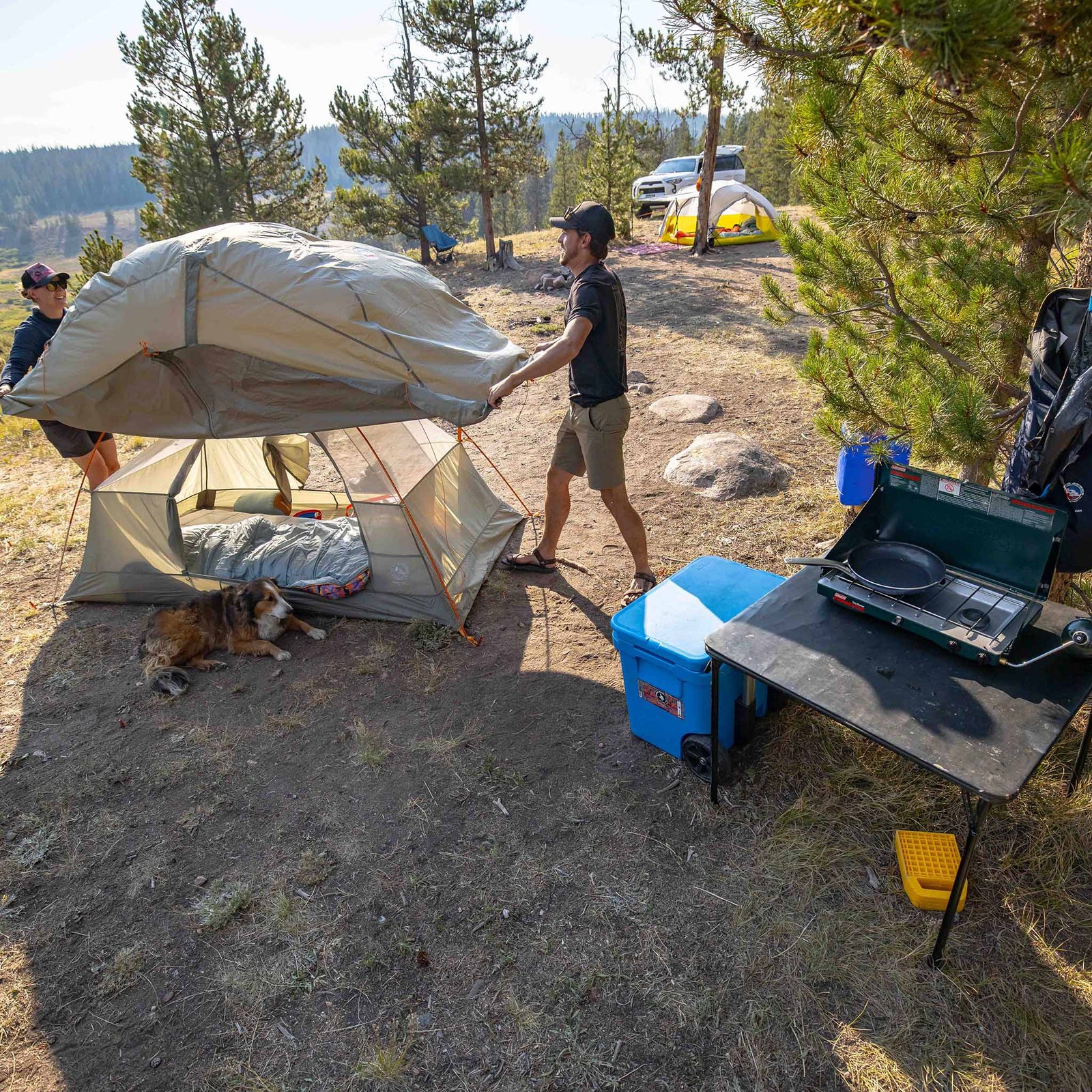 Blacktail 4 Big Agnes TBT4V26 Tents 4P / Vetiver