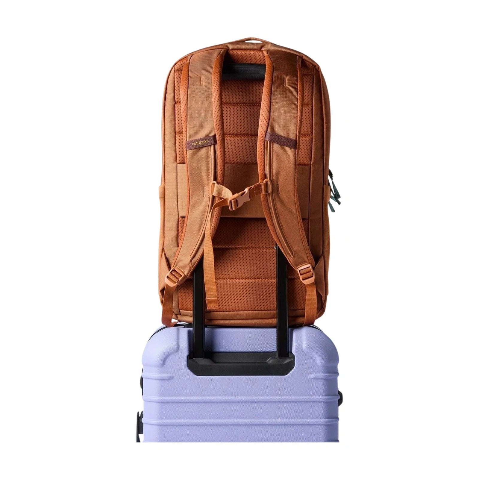 Allpa Daypack | 26L Cotopaxi A26-S26-WSKY Backpacks 26L / Whiskey