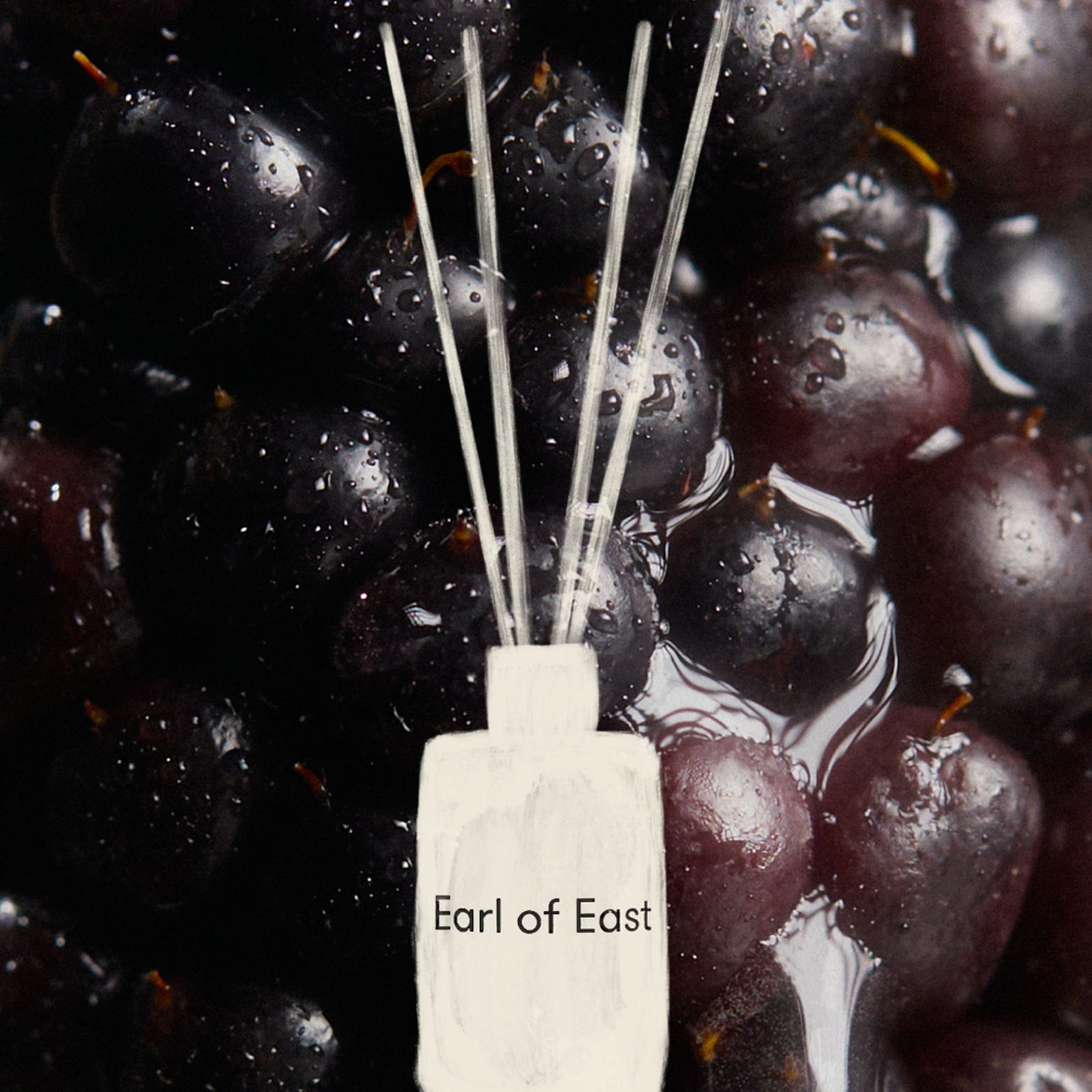 Reed Diffuser 150ml Earl of East EOE-RD-JDLL Reed Diffusers One Size / Jardin De La Lune