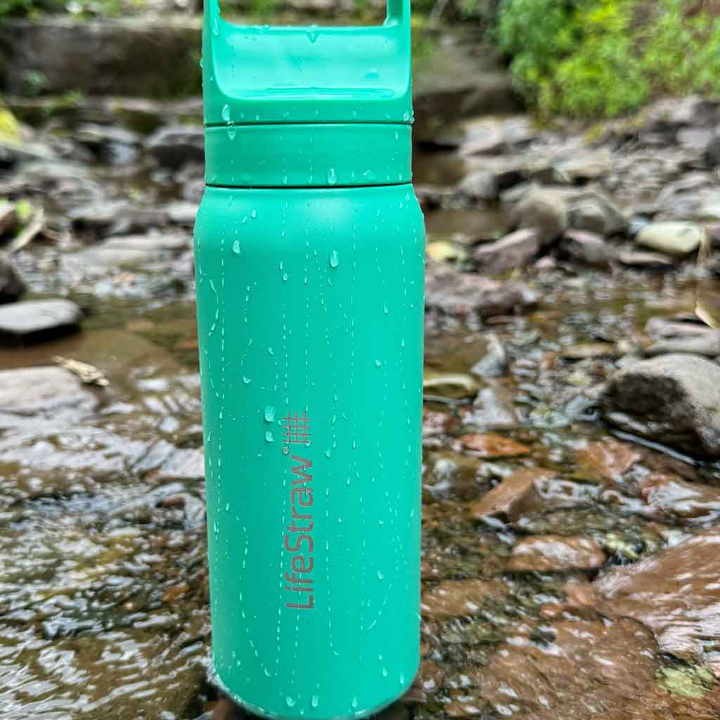 Lifestraw Go 700ml | Stainless Steel LifeStraw LSGV42SCGWW Water Filters 700 ml / Cactus Green