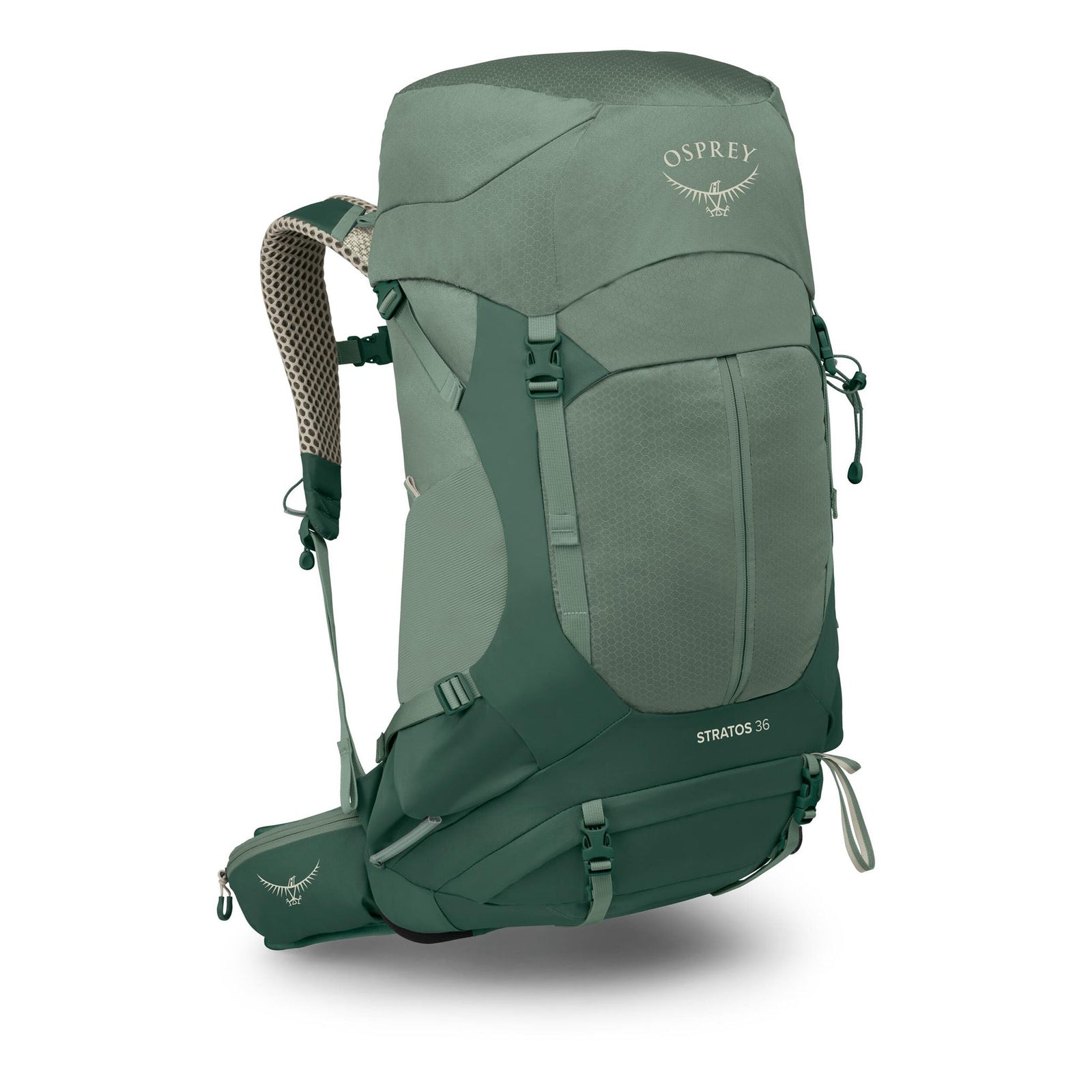 Stratos 36 | Men's Osprey 10007534 Backpacks OS / Pine Leaf