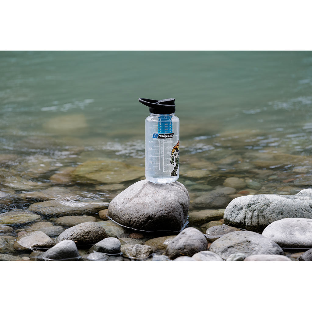 DayCap In-Bottle Filter | Widemouth Platypus 13878 Water Filters One Size / Blue