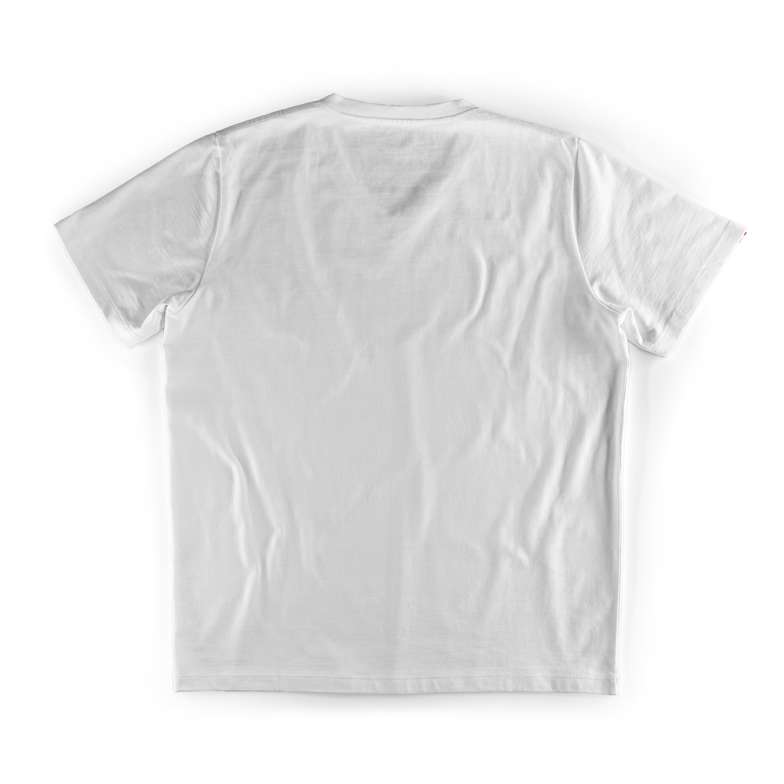 Classic White V-Neck T-Shirt &SONS Men's Tees