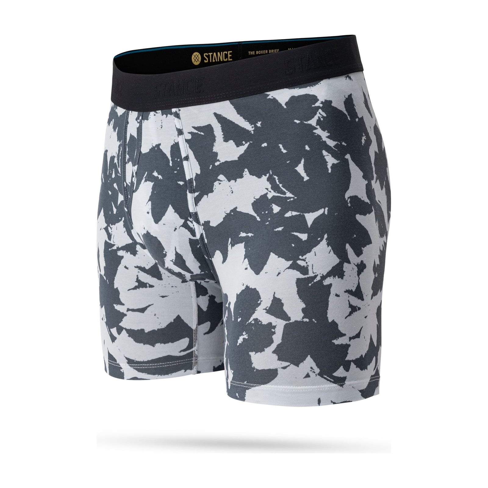 Brush Stroke Wholester Stance Men's Underwear