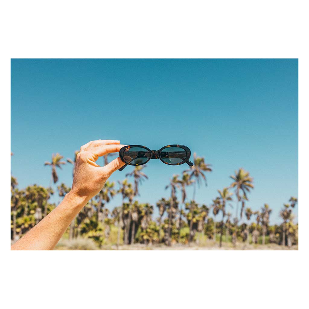 Bianca Sunski SUN-BI-TSL Sunglasses One Size / Tortoise Slate
