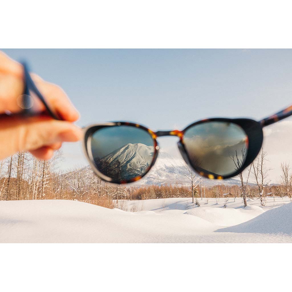 Tera Sunski SUN-TE-TINP Sunglasses One Size / Tortoise Indigo