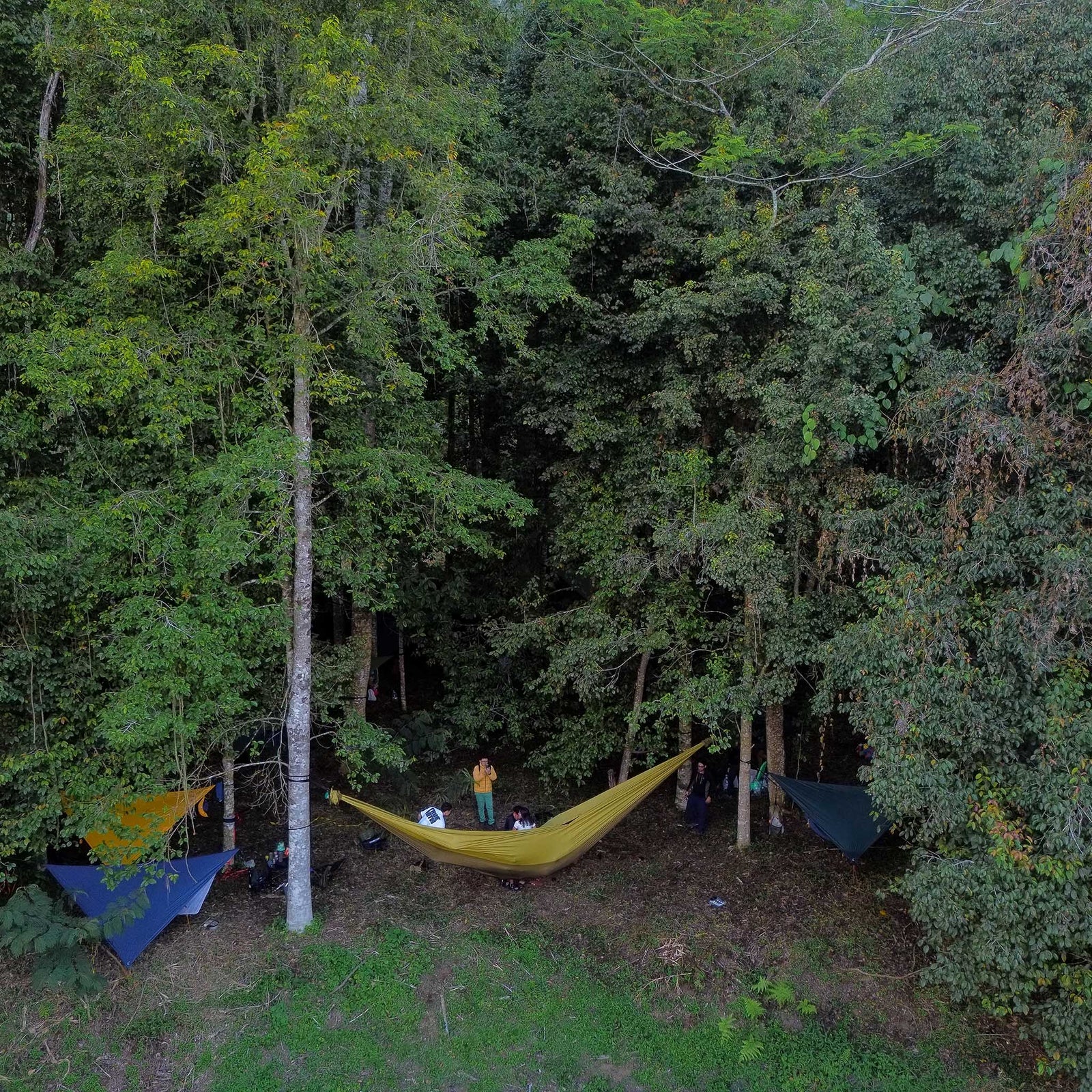 Mammock Hammock Ticket To The Moon TMM4323 Hammocks 800 x 450 cm / Olive Brown/Sparkling Gold