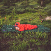 Static V Short Camping Mat Klymit 06SJGR02A Camping Mats Short / Forest Green