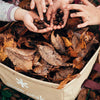 Pack Bucket