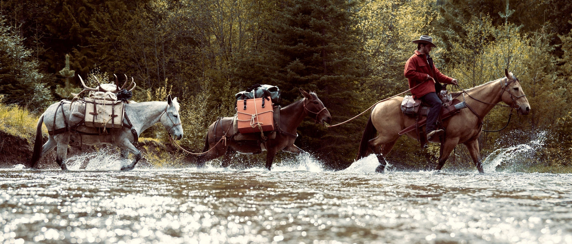 Horsepacking across a river in the Pacific Northwest USA, on a Filson field testing adventure.