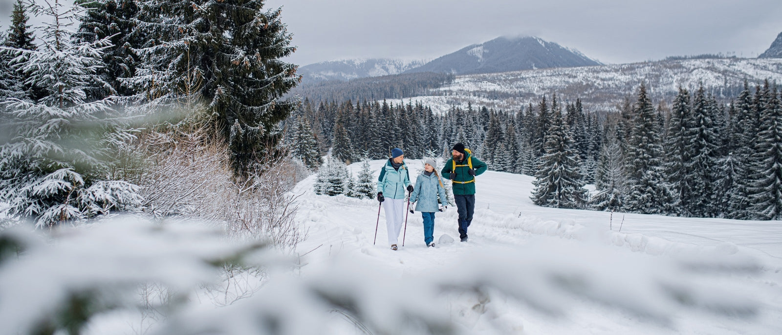 Three hikers with trekking poles walking through snowy forest trail with snow-laden evergreen trees and mountain peaks in background