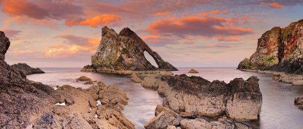 Field Guide: Moray Firth, Scotland - WildBounds