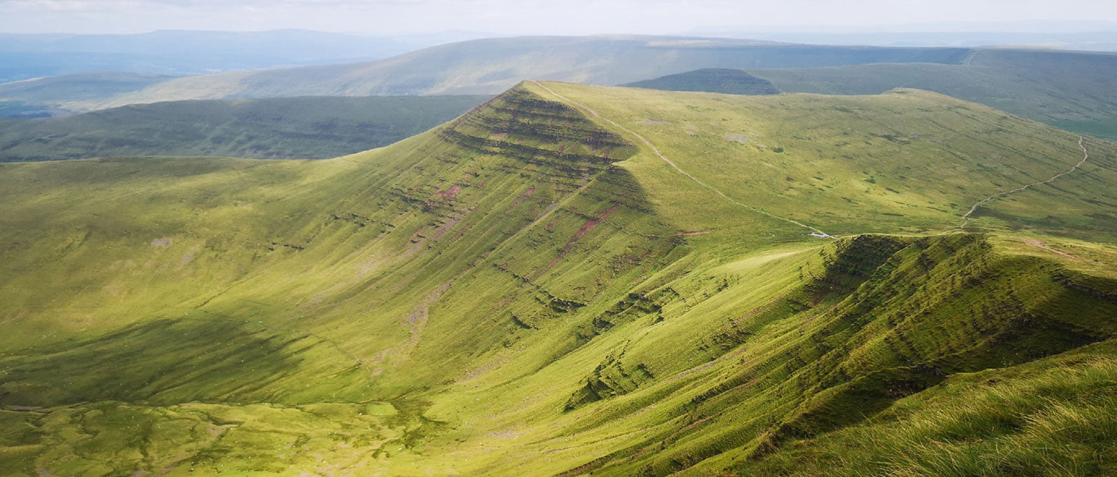 Brecon Beacons Field Guide - WildBounds UK