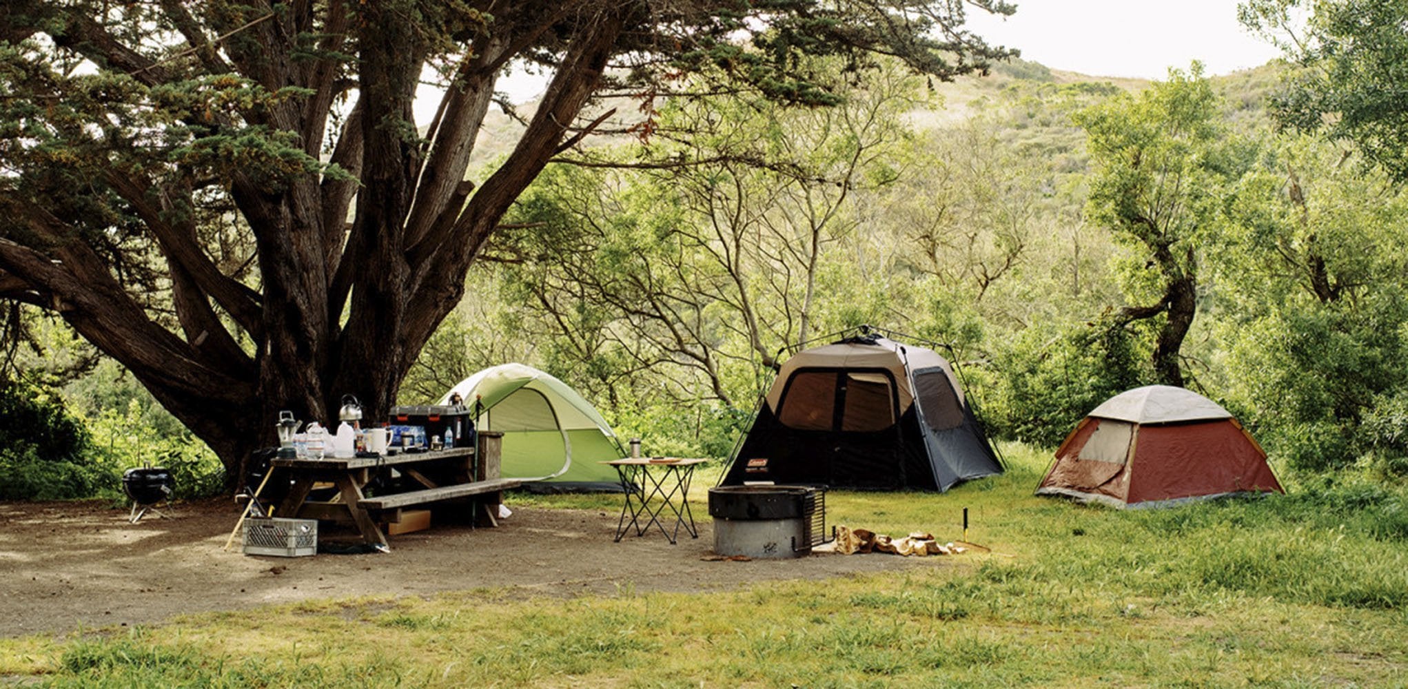 Carter Moore Camping CA 5 | WildBounds