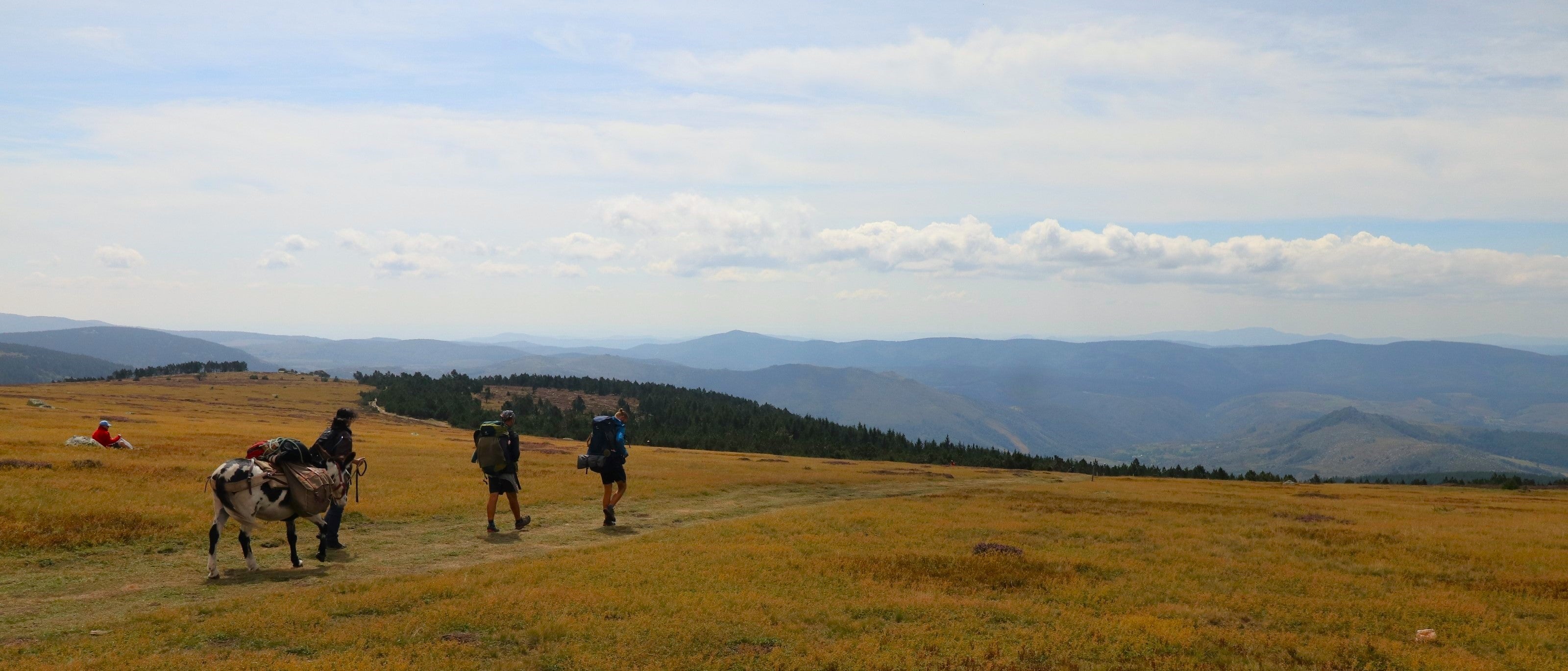 Travels With a Donkey | In the Footsteps of Robert Louis Stevenson | Culture & Pioneers | WildBounds UK