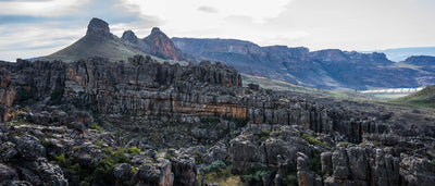 Field Guide: Rocklands, South Africa