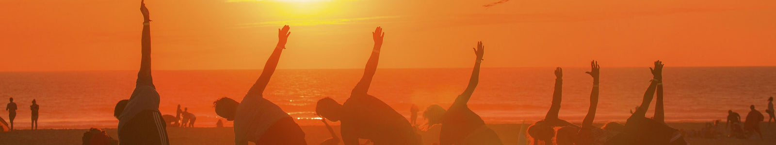 Action Culture Recommended Kit