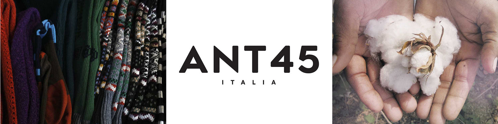 ANT45