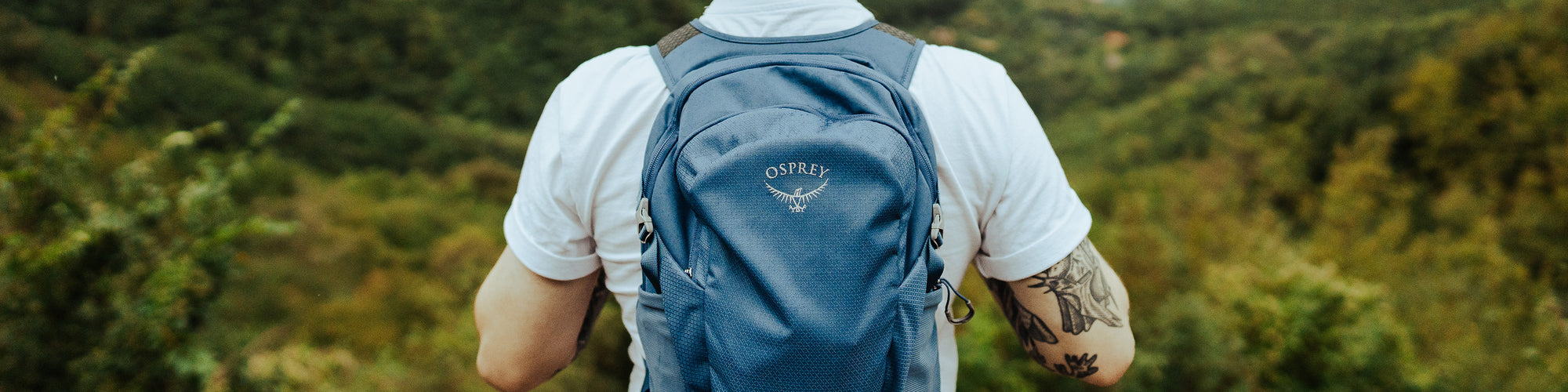 Osprey | Daylite Plus Backpack