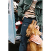 Fjordcord Slacks 8 Wale | Men's Amundsen Sports Men's Trousers