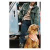 Nordcord Jacket | Men's Amundsen Sports Men's Down Jackets