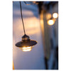 Edison Pendant Light Barebones Living LIV-266 Lanterns One Size / Red