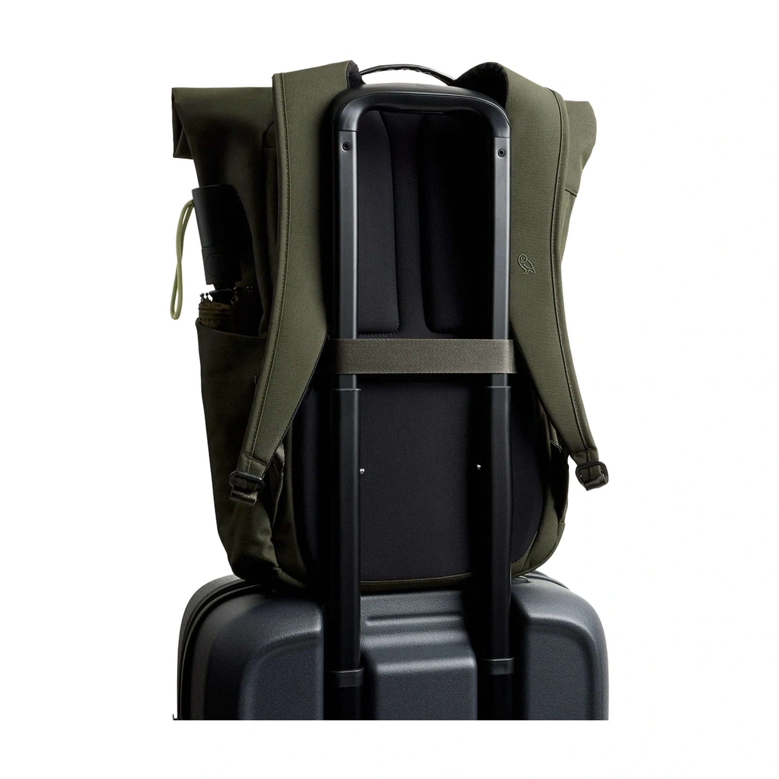 Classic Rolltop Bellroy BCRA-OLI-244 Backpacks 16L / Olive
