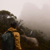 Venture Grab Pack Bellroy BVPA-DON-246 Backpacks One Size / DeepOcean