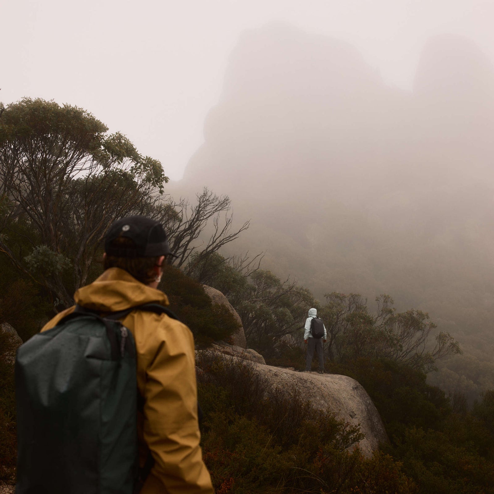 Venture Grab Pack Bellroy BVPA-SAF-246 Backpacks One Size / Safari