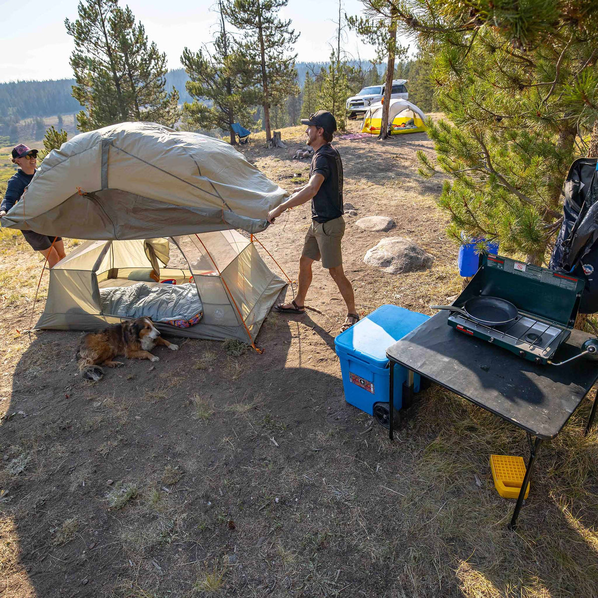 Blacktail 3 Big Agnes TBT3V26 Tents 3P / Vetiver