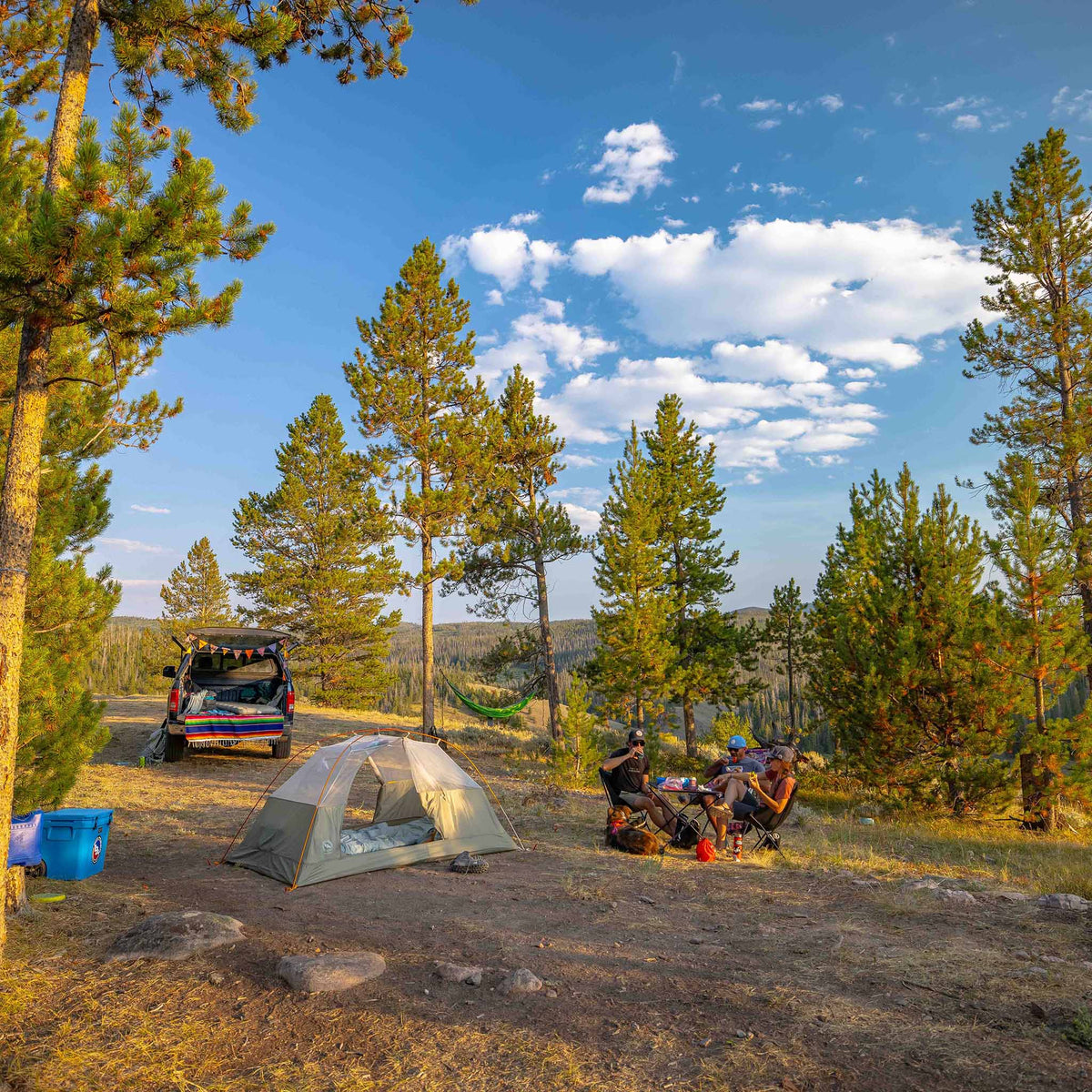 Blacktail 3 Big Agnes TBT3V26 Tents 3P / Vetiver