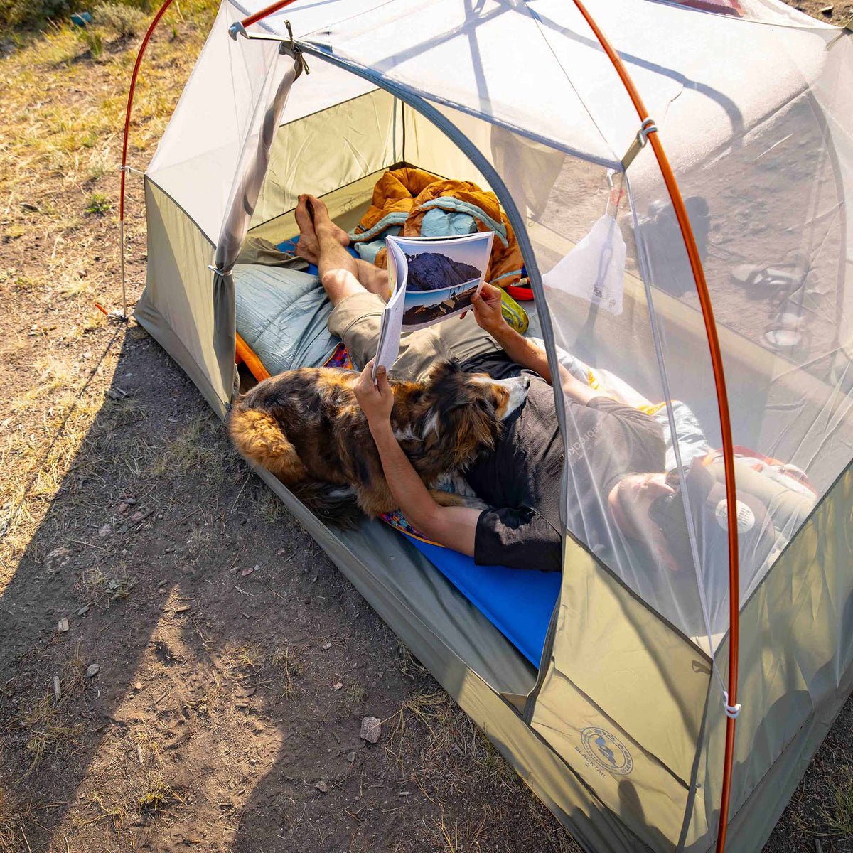 Blacktail 4 Big Agnes TBT4V26 Tents 4P / Vetiver