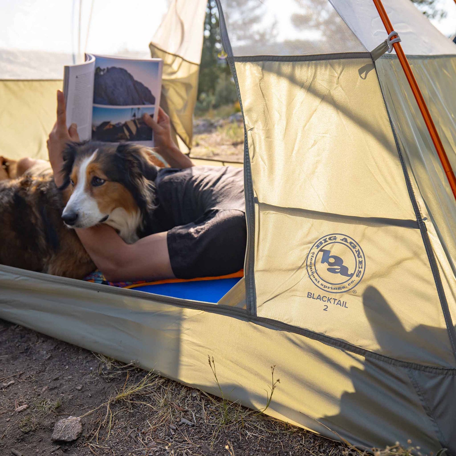 Blacktail 4 Big Agnes TBT4V26 Tents 4P / Vetiver