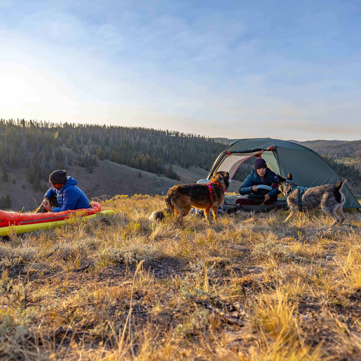 Copper Spur Ul2 Bikepack Big Agnes TCSBP226 Tents 2P / Lichen Green