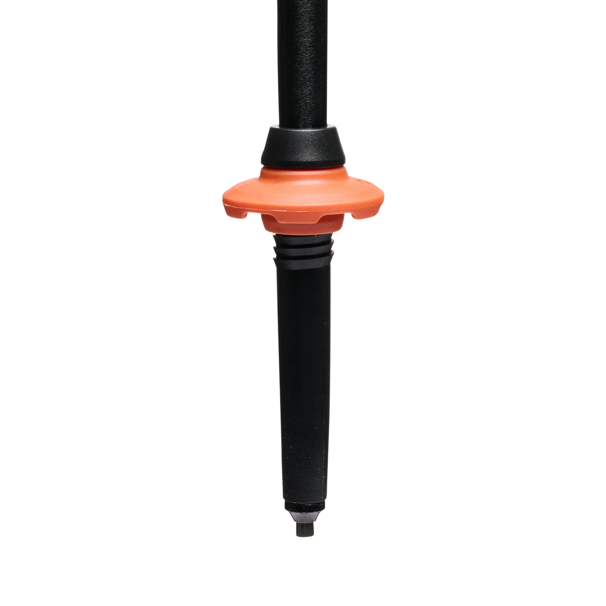 Trail Cork Trekking Poles Black Diamond BD1100656052ALL1 Trekking Poles 100-140 cm / Fig