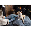 Bear Town Micro Crew Lightweight | Cushion | Women's Darn Tough Women's Socks