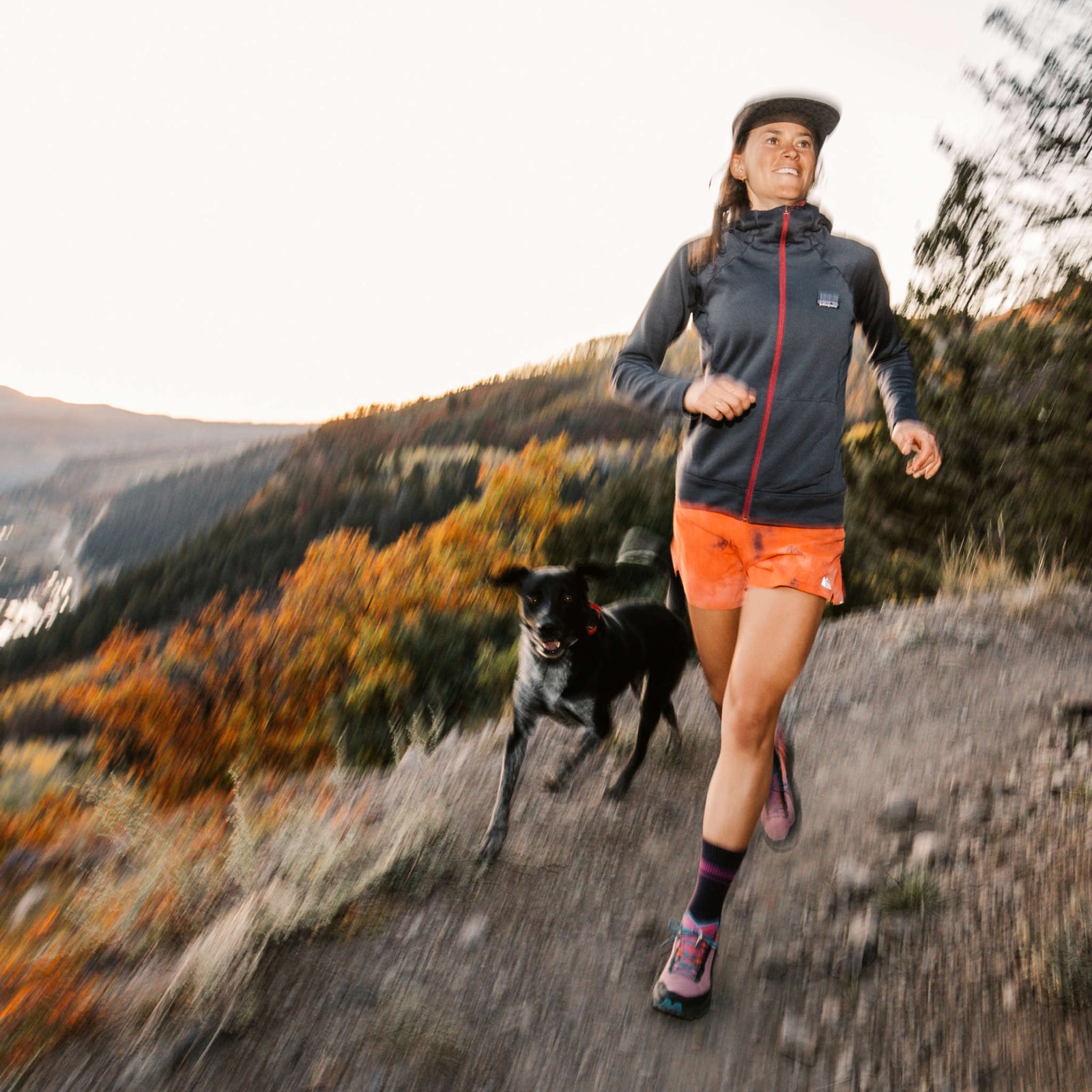 Element Micro Crew Lightweight | Cushion | Women's Darn Tough Women's Socks