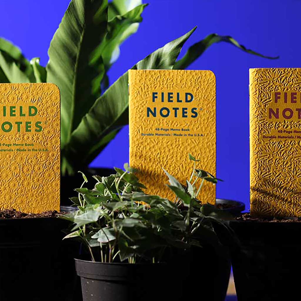 Field Notes | Signs of Spring Dot-Graph Paper (3-Pack) | Quality ...