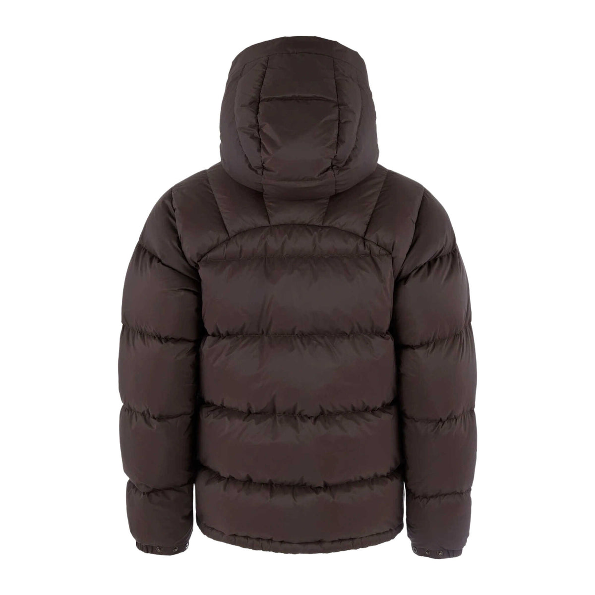 Expedition Down Lite Jacket | Men's
