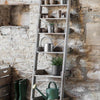 Aldsworth Shelf Ladder | Small Garden Trading AWSL01 Shelf Ladders Small / Grey Wood