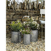 Galvanised Steel Planters | Set of 3 Garden Trading PLGA01 Planters One Size / Silver