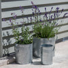Galvanised Steel Planters | Set of 3 Garden Trading PLGA01 Planters One Size / Silver