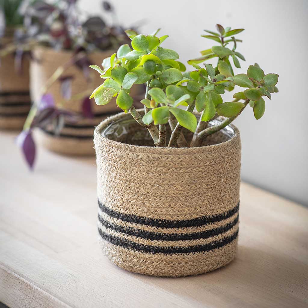 Jute Striped Pot Garden Trading SPJU01 Planters 12.5cm / Black / Natural