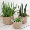 Jute Woven Plant Pots | Set of 3 Garden Trading WPJU01 Planters Set of 3 / Natural