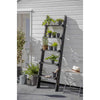 Moreton Slatted Shelf Ladder Garden Trading MTLD01 Shelf Ladders One Size / Spruce