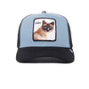 Cool Cat Premium Trucker Hat Goorin Bros. 101-1438-SLA Caps & Hats One Size / Slate