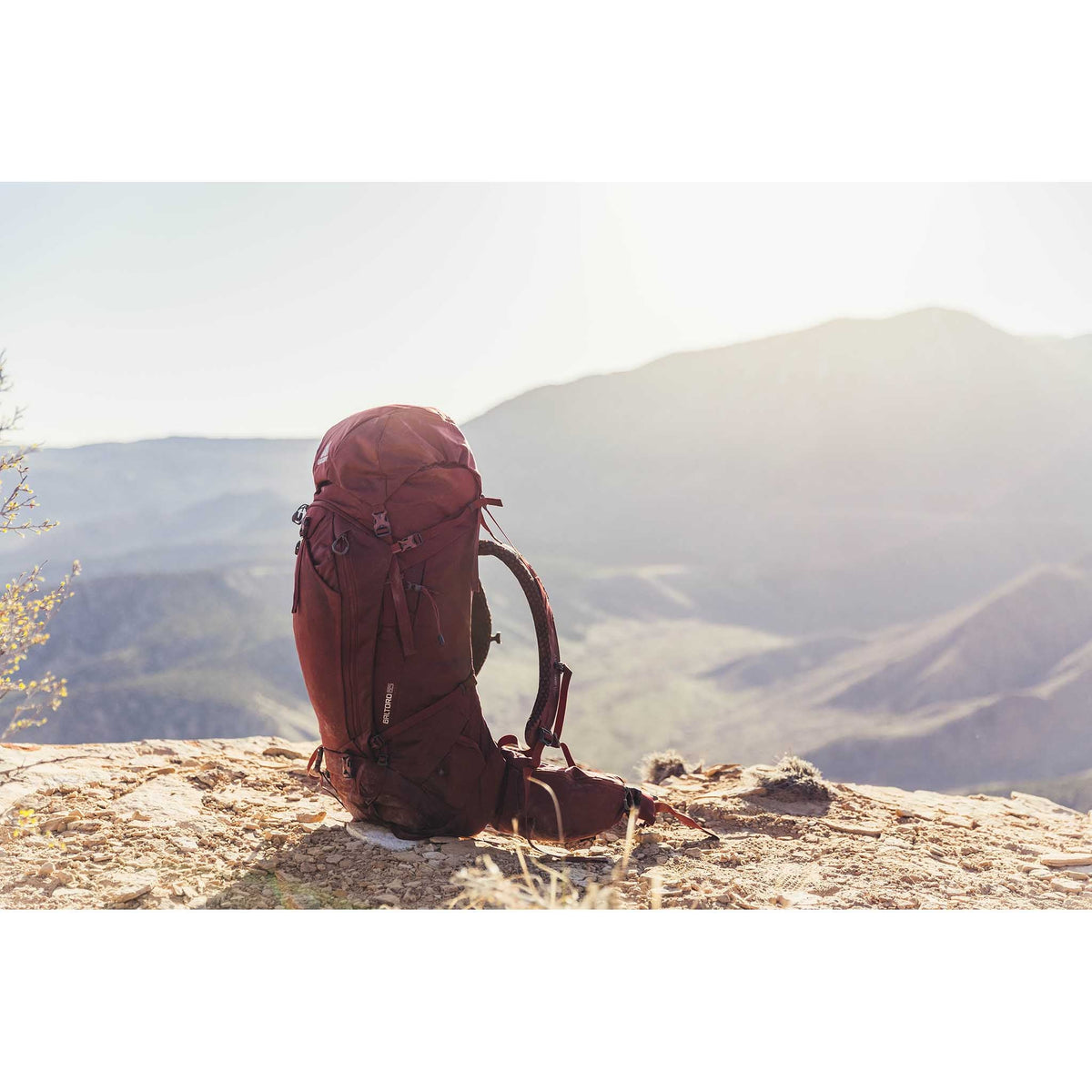 Baltoro Pro 85 Gregory Backpacks