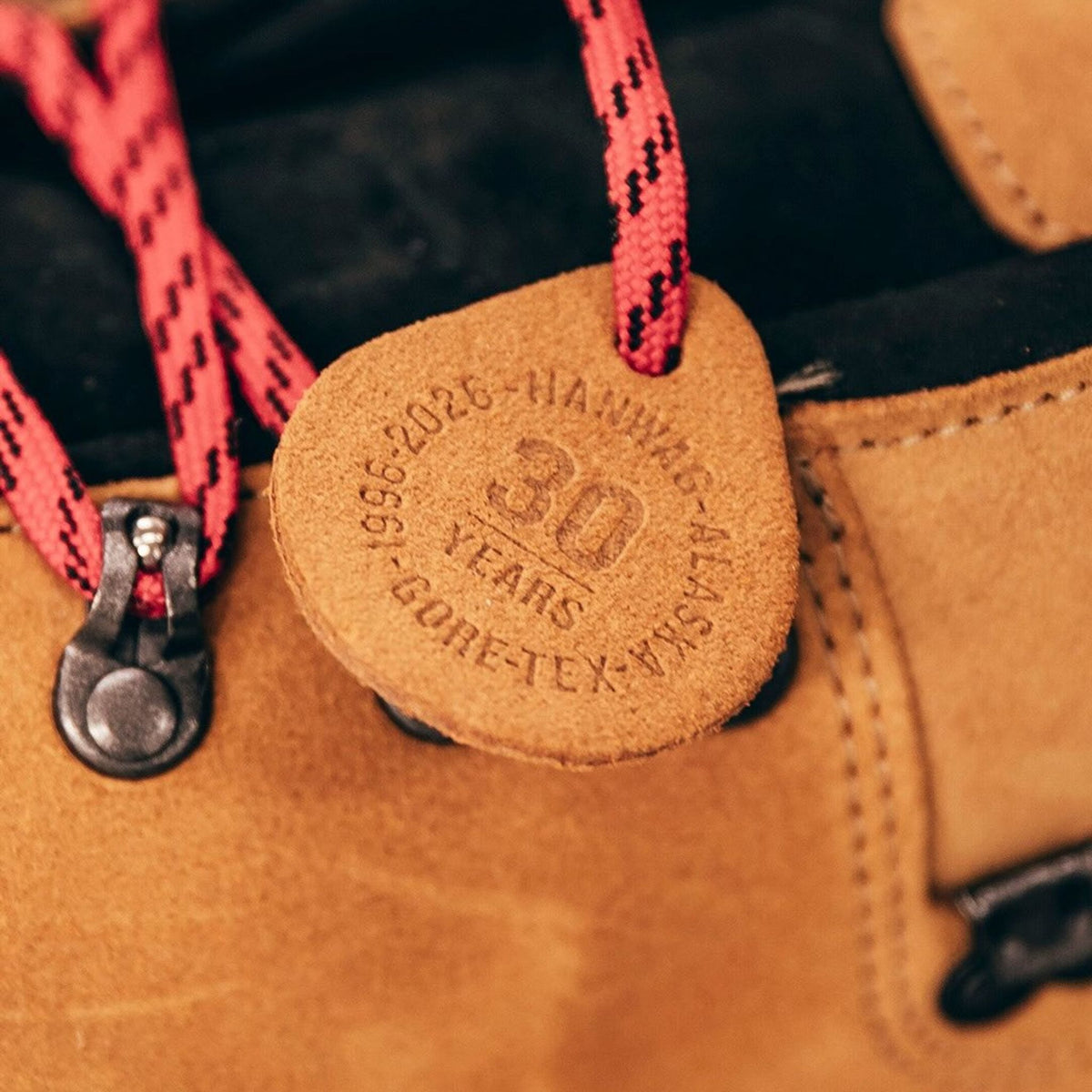 Alaska 30Y GTX | Men's Hanwag Men's Boots