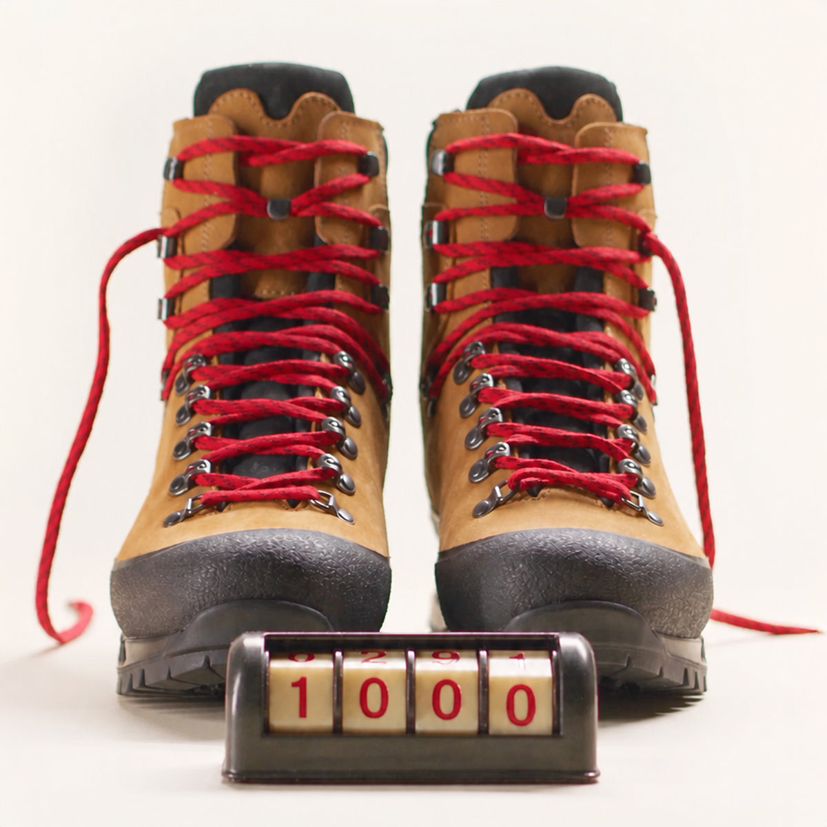 Alaska 30Y GTX | Men's Hanwag Men's Boots